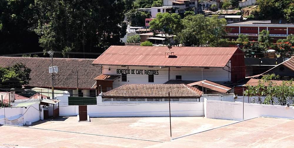 Caffè monorigine Guatemala - Antigua Pastores