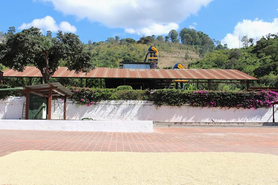 Caffè monorigine Guatemala Antigua Pastores