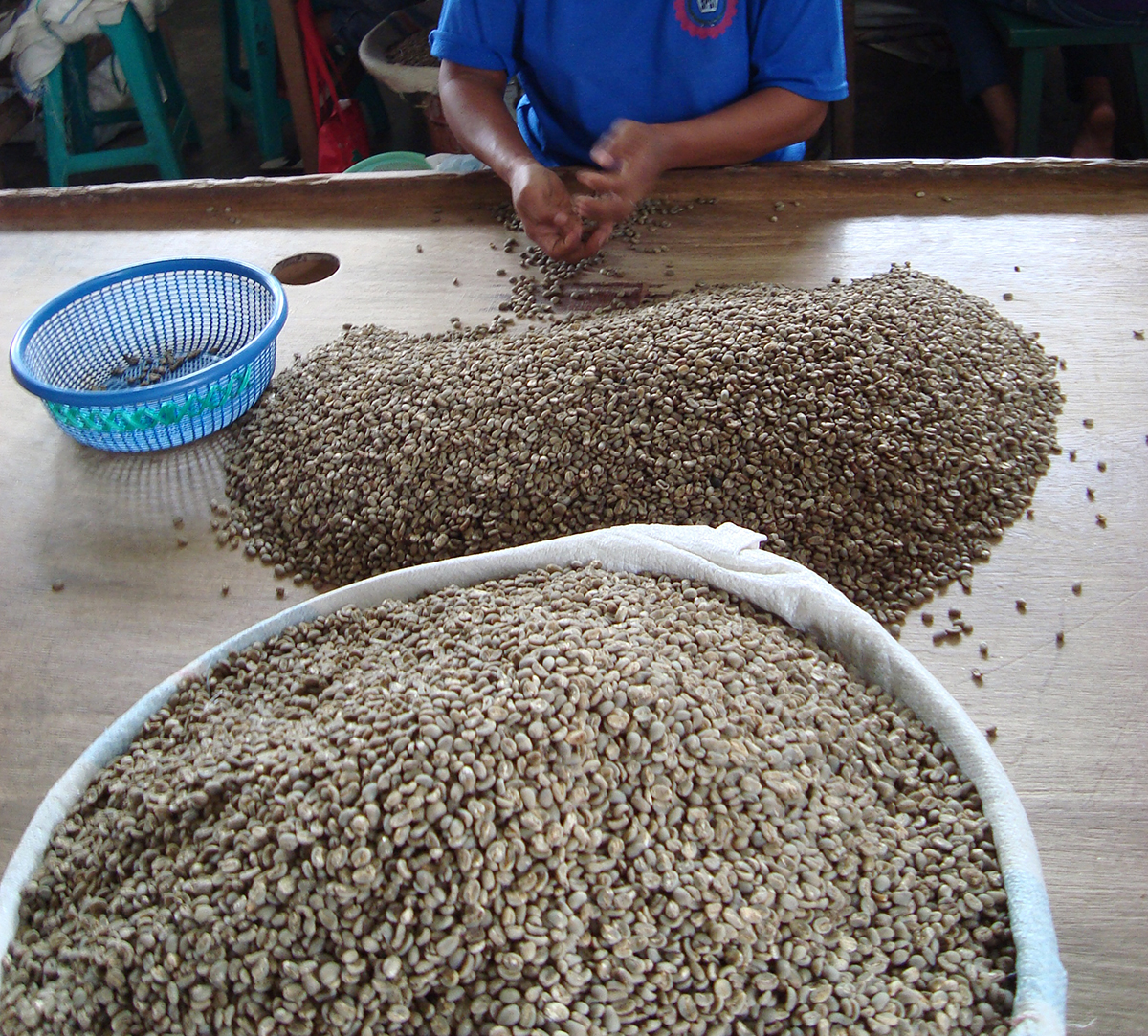 Caffè Monorigine Indonesia Flores Cahaya Comodo Sejahtera